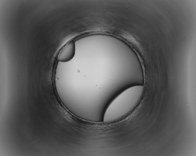 X0000086971216200704161139