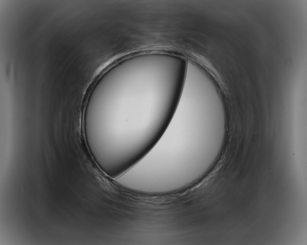 X0000086971220200704161139