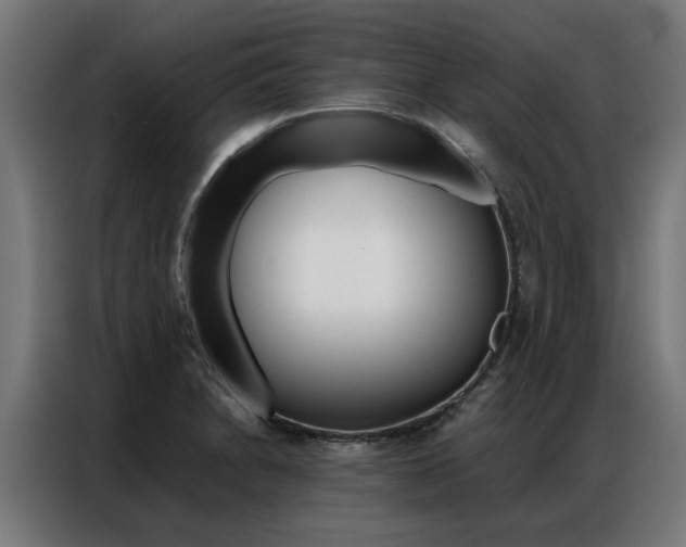 X0000086971230200704161139