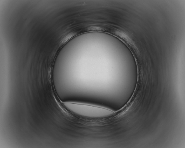 X0000086971233200704161139