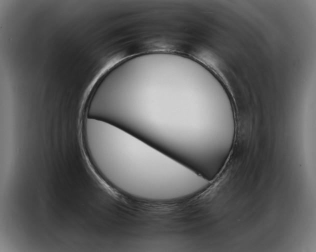 X0000086971235200704161139