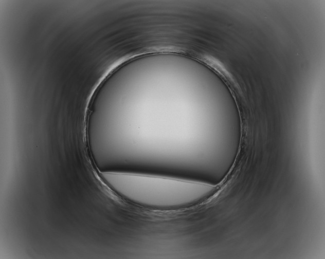 X0000086971236200704161139