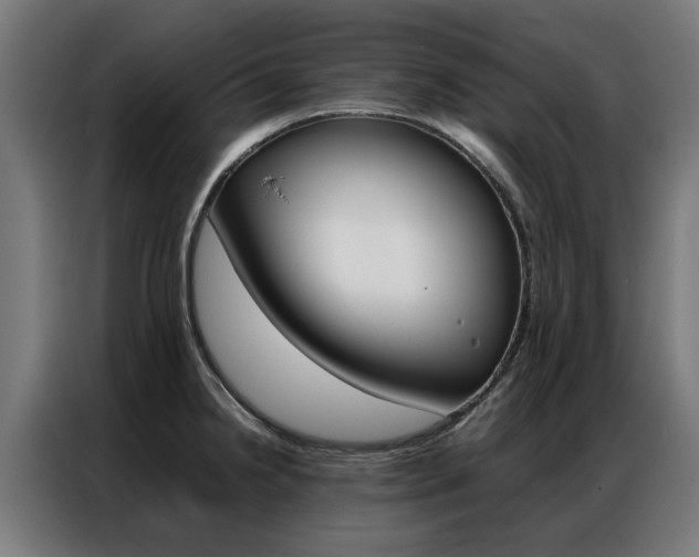X0000086971238200704161139