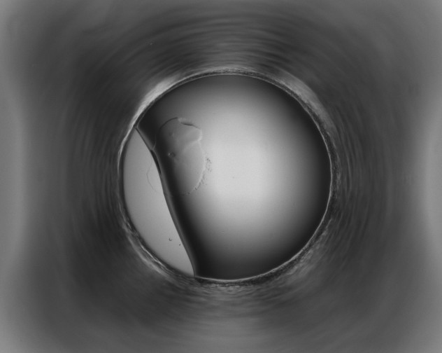 X0000086971242200704161139