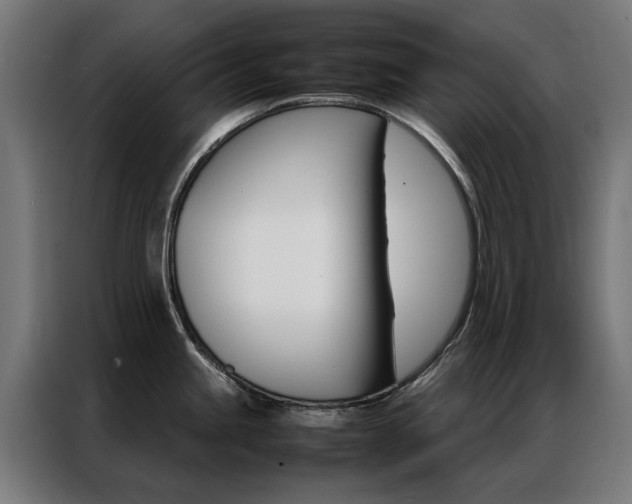 X0000086971245200704161139