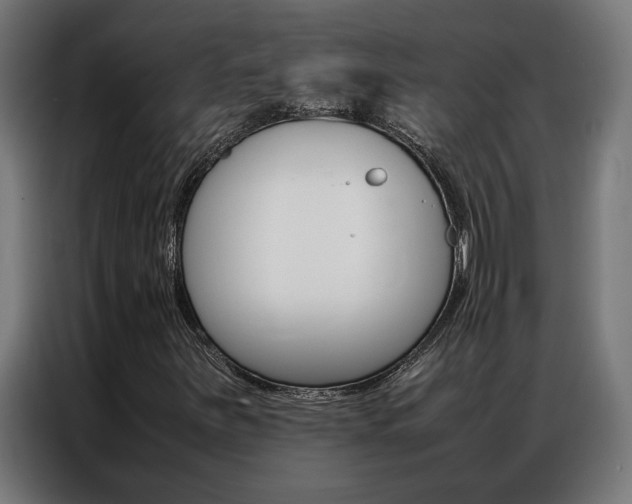 X0000086971251200704161138