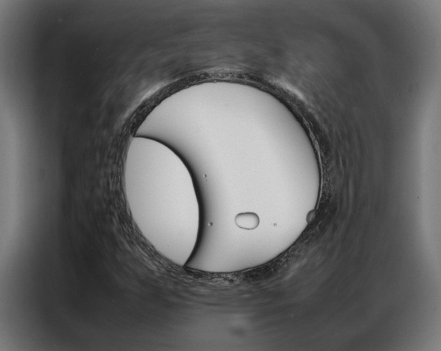X0000086971255200704161138