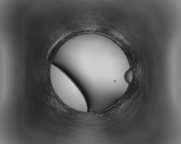 X0000086971256200704161138