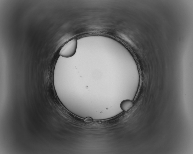 X0000086971259200704161138