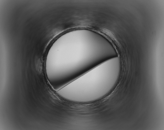 X0000086971260200704161138