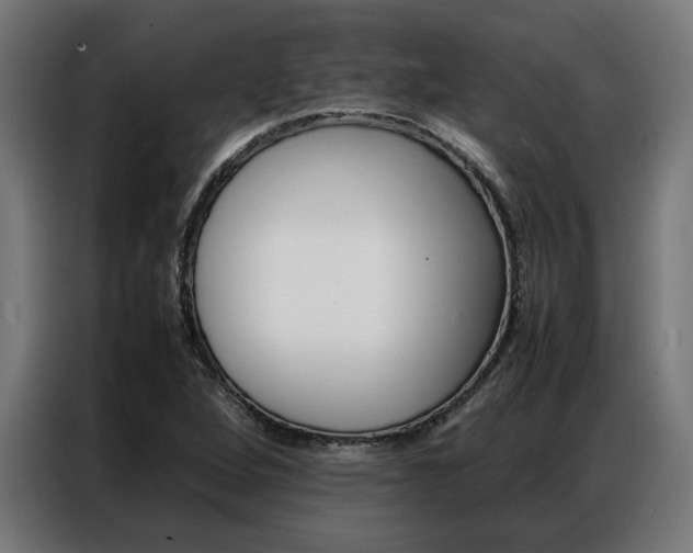 X0000086971264200704161138