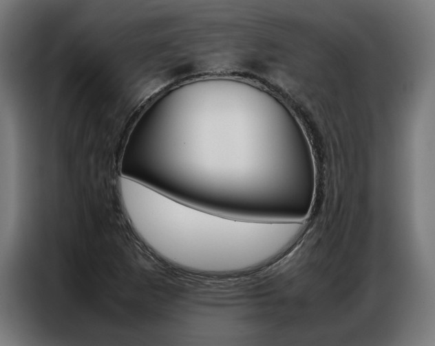 X0000086971265200704161138