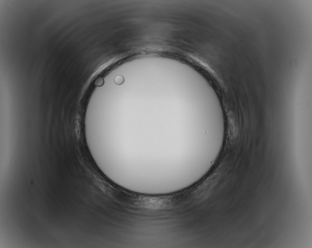 X0000086971266200704161138