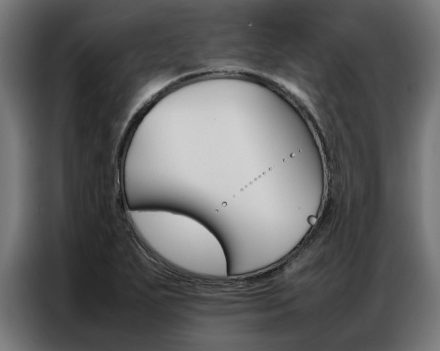 X0000086971271200704161138
