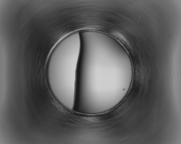 X0000086971276200704161138