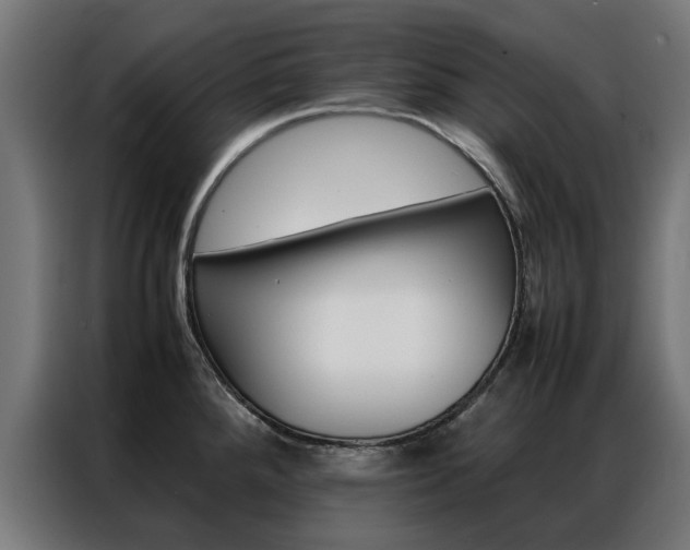 X0000086971288200704161138