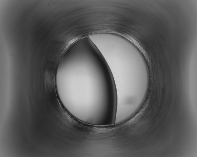 X0000086971289200704161138
