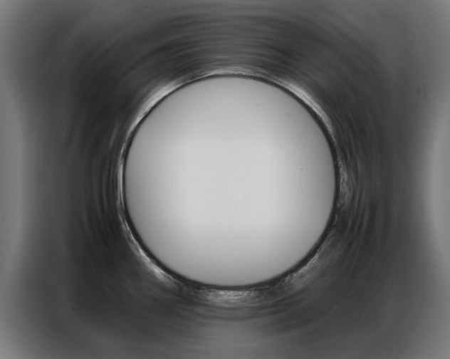 X0000086971290200704161138