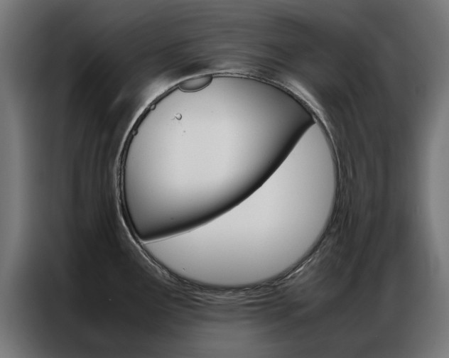 X0000086971291200704161138