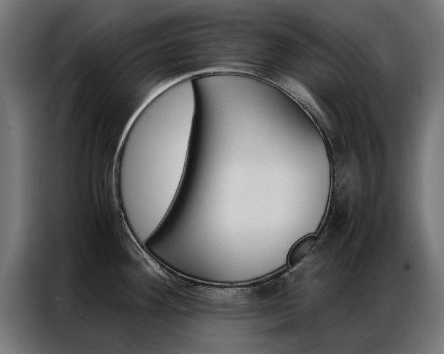 X0000086971292200704161138