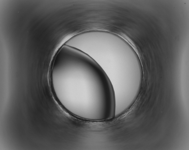 X0000086971293200704161138