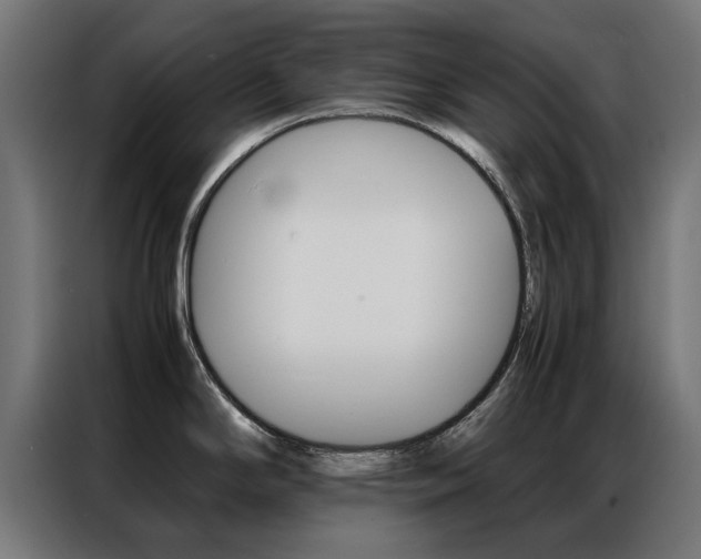 X0000086971294200704161138