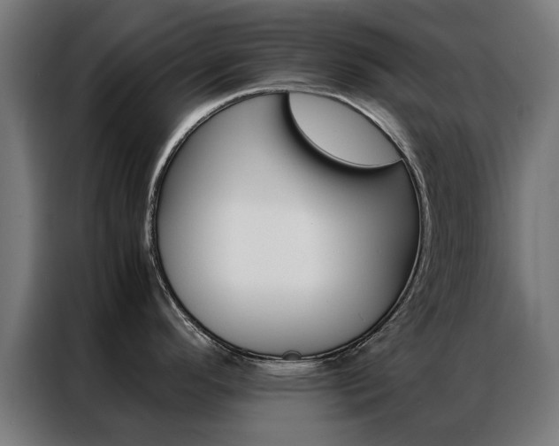 X0000086971296200704161138