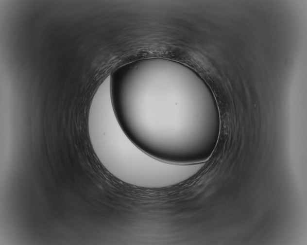 X0000086971298200704161137