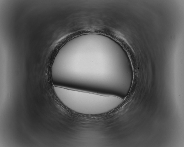 X0000086971304200704161137