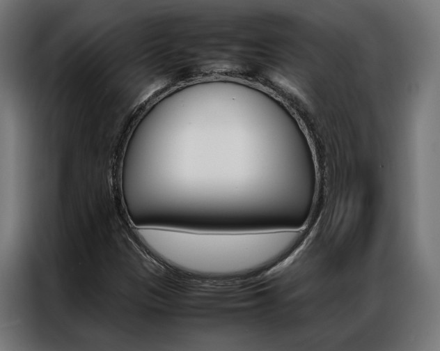 X0000086971305200704161137