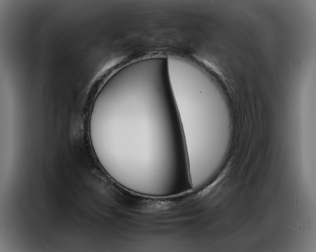 X0000086971309200704161137
