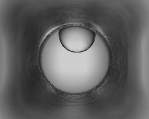 X0000086971312200704161137