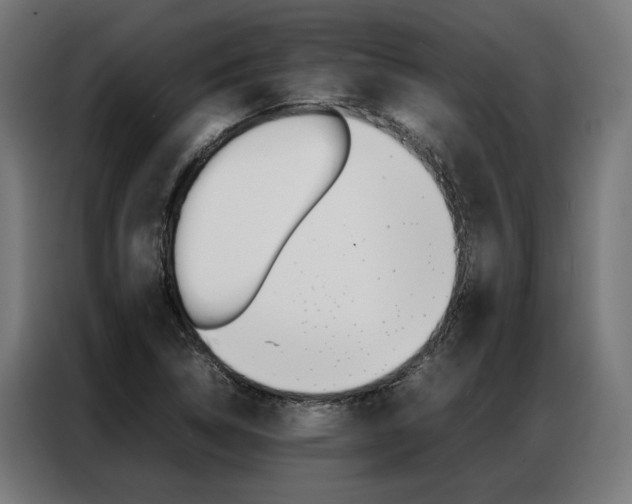 X0000086971314200704161137