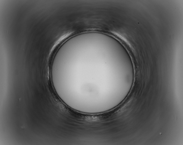 X0000086971317200704161137