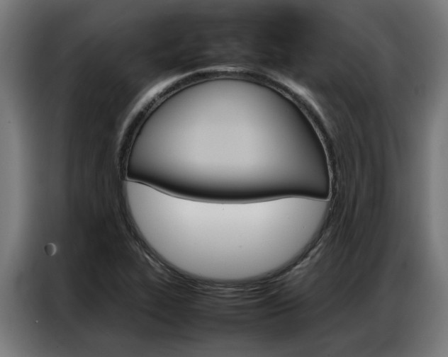 X0000086971319200704161137