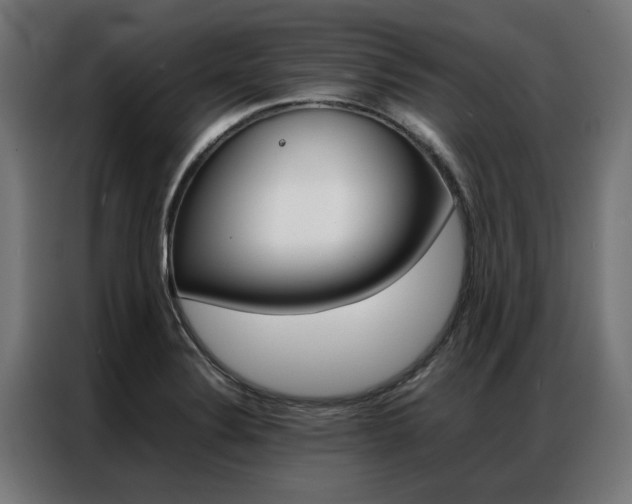 X0000086971324200704161137