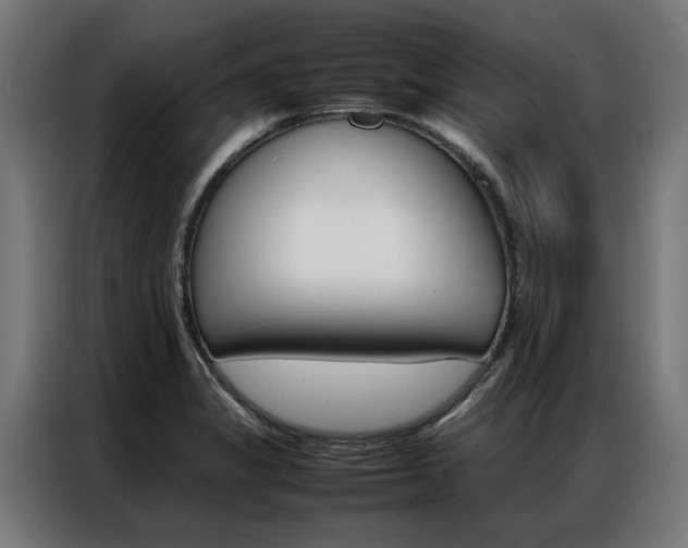 X0000086971325200704161137