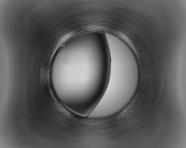 X0000086971330200704161137