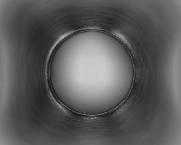 X0000086971331200704161137