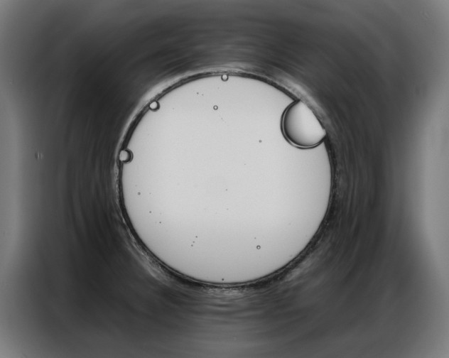 X0000086971332200704161137