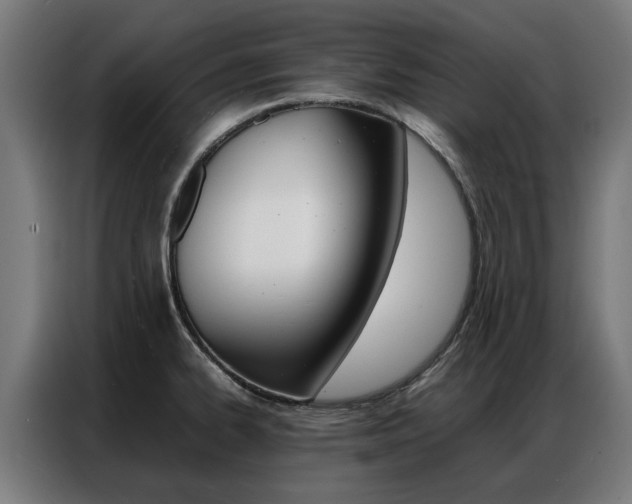 X0000086971334200704161137
