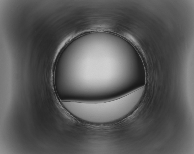 X0000086971336200704161137