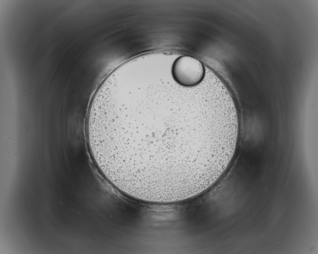 X0000086971338200704161137