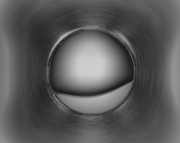 X0000086971340200704161138
