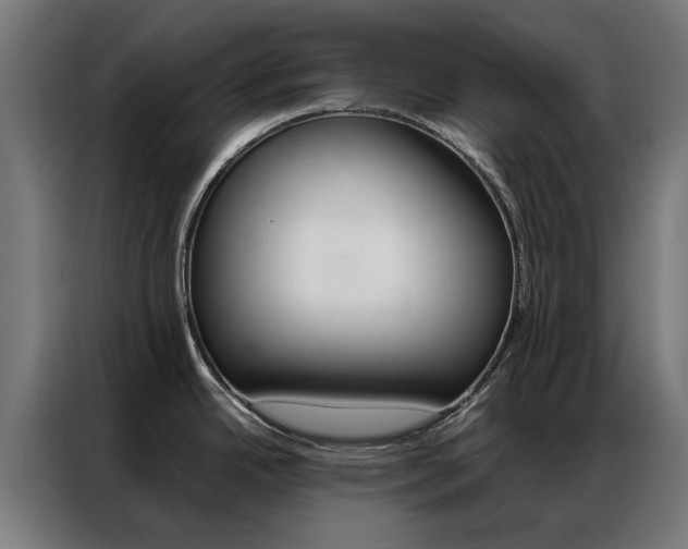 X0000086971342200704161138