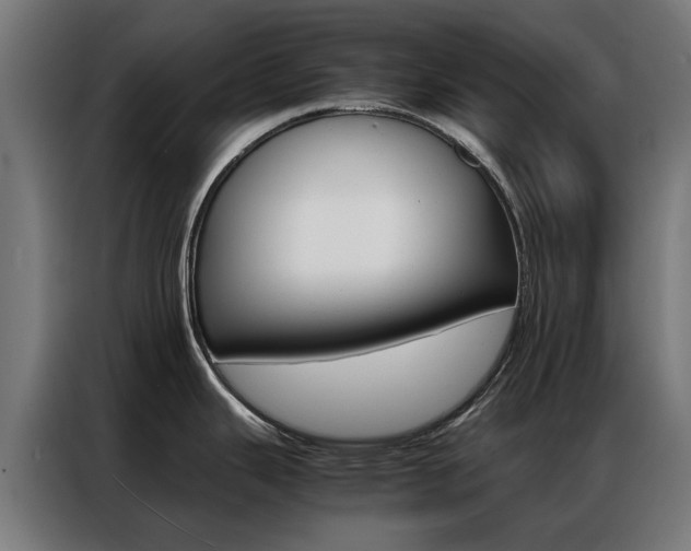 X0000086971343200704161138