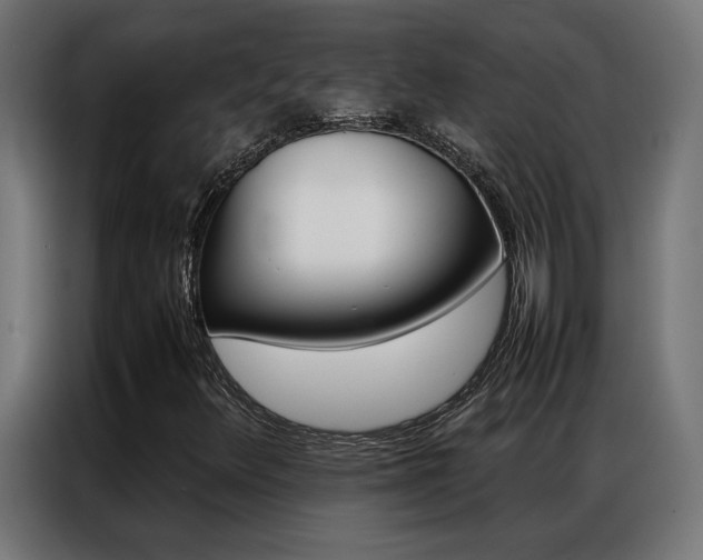 X0000086971348200704161137