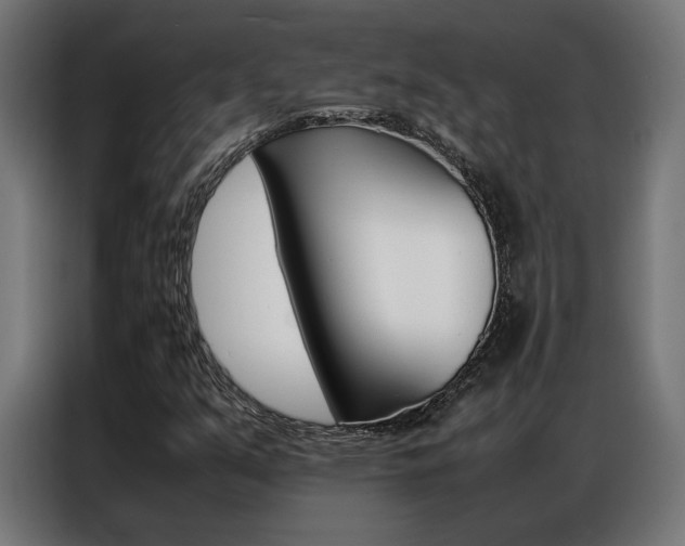 X0000086971351200704161137