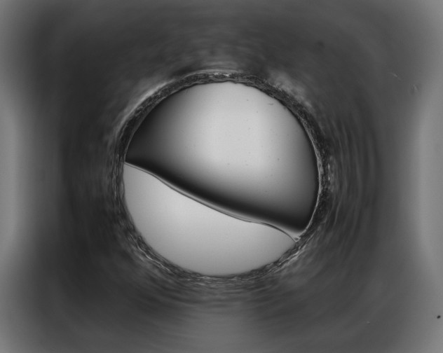 X0000086971352200704161137