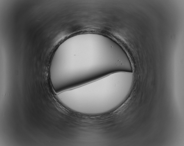 X0000086971355200704161137